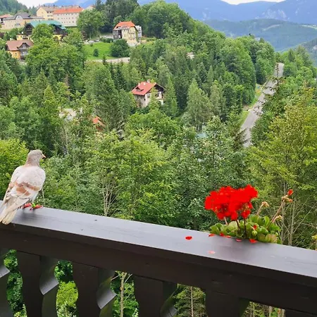 Renona Rehabilitation Semmering