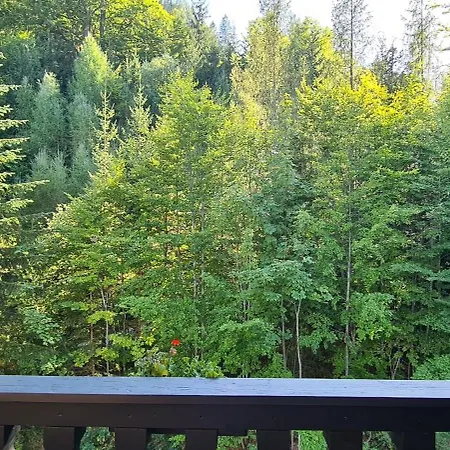 Hotel Renona Rehabilitation Semmering