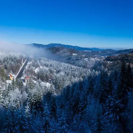 Renona Rehabilitation Hotel Semmering