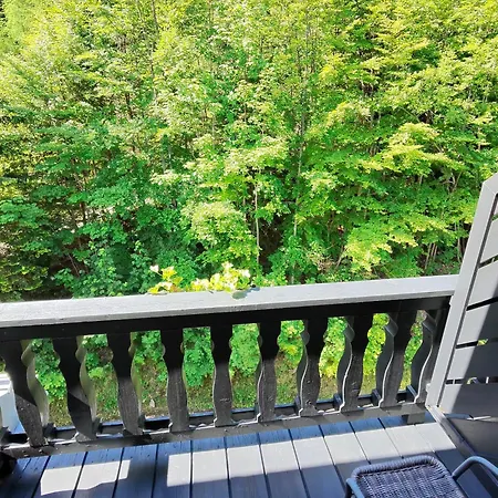 Renona Rehabilitation 3* Semmering