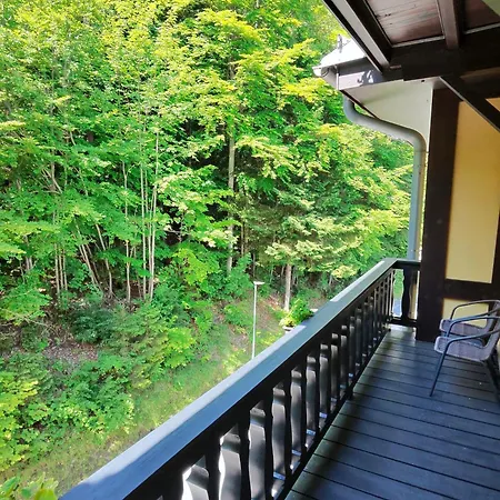 Renona Rehabilitation 3* Semmering