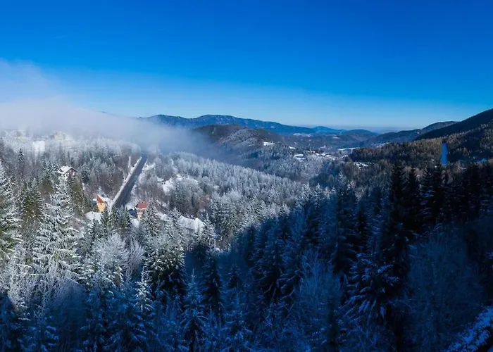 Renona Rehabilitation Ξενοδοχείο Semmering